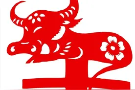 属牛人：熬过灰暗的时光，终于苦尽甘来！想想之前的付出图片