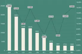 中国软件业务收入十强！广东只排第2，山东紧追江苏，上海超浙江图片