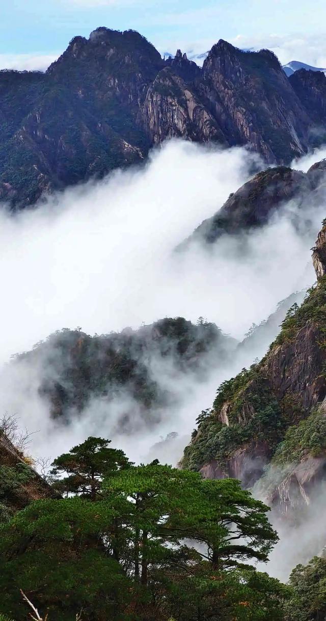 6月黄山最容易遇见“水墨江南”意境、且体验最舒适的季节之一