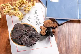 灵芝孢子粉，到底是养生好物还是慢性毒药？癌症患者可以吃吗？图片