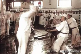 八十多年前的青岛屠宰场，部分照片有些残忍血腥，胆小勿看！图片