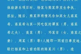 惊心动魄！游乐园排队引发血案，现场视频曝光图片