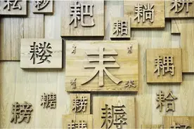 中文是牺牲了什么，才成为最高效、最适合工业时代的文字之一？图片