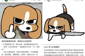 学会比格犬人设，00后“讨坏型人格”算是炼成了图片