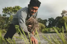 万斯骂中国人"乡巴佬"惹众怒，那么Peasants与Farmers有何区别？图片