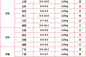 反弹上涨来了！2024.8.30明日猪价，猪价北涨南稳图片