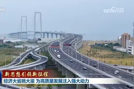 【新思想引领新征程】经济大省挑大梁 为高质量发展注入强大动力图片