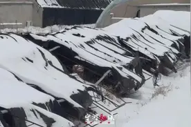 宁河农户大棚种植因强降雪受损，迅速理赔！图片