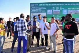 “一带一路”50多国记者采访报道中国库布其治沙图片