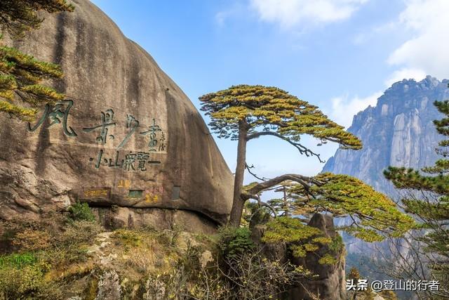 黄山放大招！15家景区免票，一波优惠持续到年底，附详细攻略