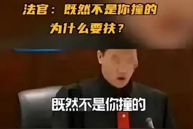 撒谎我就死全家，小学生扶老人被讹100万，警方处置结果大快人心图片