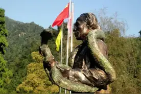 一条蛇卖一百万？堪称蛇中大熊猫，又大又毒且中国独有图片