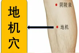 地机穴—治疗痛经的专用穴图片