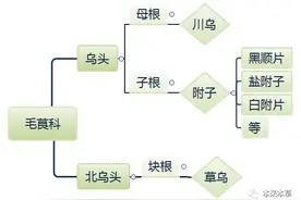 满满干货！中药鉴定之【根及根茎类中药系列（二）】图片