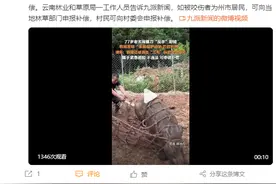 律师称77岁老太反杀野猪不违法：属于紧急避险，可申请补偿图片