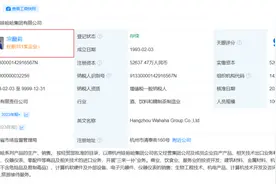 宗馥莉，全面接手娃哈哈！图片