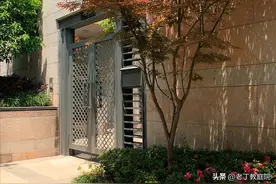适合庭院种植的高档树都在这里了 35张图片哦图片