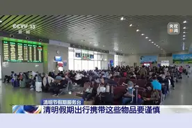 清明假期出行提示来啦！这些物品禁止携带乘车→图片