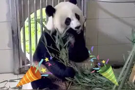 美香渝可渝爱，生日快乐图片