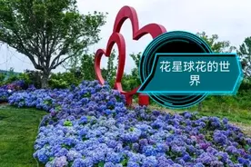 今天我到无锡九龙湾花星球景区一游，把里面的美景给大家分享一下图片