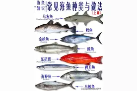 常见的海鱼品种，还有产地！吃法！今天我们来学习一下吧图片