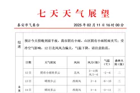 刚发公告！泰安一地将人工增雨（雪）！附最新天气预报→图片