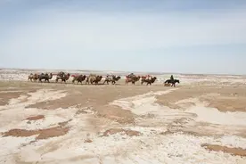 《我的阿勒泰》里的转场之路，还有多少人走？图片