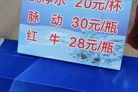 “疯狂小杨哥”主办的电音节宰客？三只羊回应：商家有自主定价权，曾协调降价图片