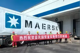 厄瓜多尔直采！新鲜优质南美白对虾即将端上成都人餐桌图片