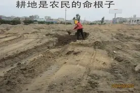 如何解决农村“死人有地、活人没地”的问题？以保障农民利益图片