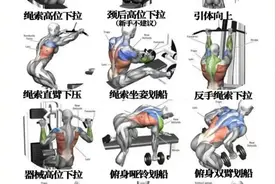 为什么天天锻炼不长肌肉？图片