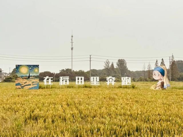 江阴人，这里好玩！ - 今日头条