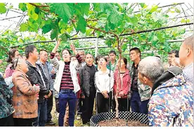全州毛竹山村：抢抓农时培训忙 葡萄种出新希望图片