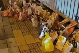 网络热议的“胖猫事件”：一场悲剧背后的情感剖析图片