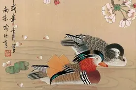 百幅工笔花鸟鱼虫，美到极致！图片