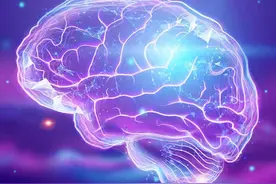 科学家发现对大脑至关重要的营养物质是如何进入大脑的图片