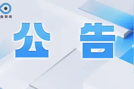 苏州公交816路等线路调整公告图片