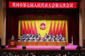 一图速览 | 黑河市人民检察院2024年工作报告图片