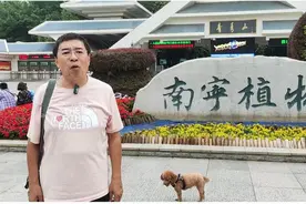 正道北归游记（3）广西南宁青秀山旅游攻略 南宁植物园 植物的王国图片