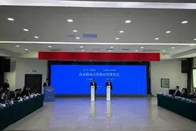 青羊崇州如何“组团出道”？图片