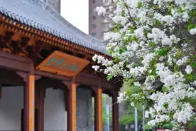 一键了解！山西大学2024年本科招生联系方式及行程安排！图片