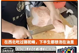 在西北吃过骆驼峰，下半生都想泡在油里图片