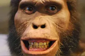 人类祖先被别的生物吃了几亿年，如何演化为人类这个最强物种的？图片