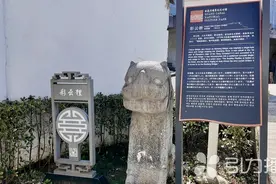 山塘“狸猫”被摸包浆，原因在这儿！图片