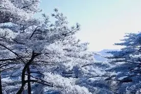 一路向西图片