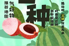 时雨及芒种 四野皆插秧 全国节气好物推荐地图芒种篇出炉图片