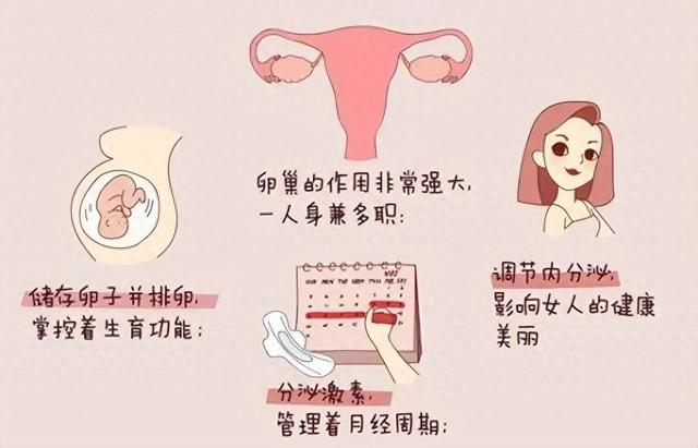 出水痘可以吃花胶吗 2026年出水痘可以吃花胶吗会传染吗