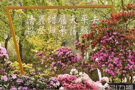 漫步天平山 一次赏遍200多种杜鹃花图片
