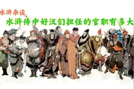 水浒传官职详解，教头、提辖、制使这些都是多大官，梁山谁官最大图片