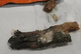 山姆又出事！网友：太吓人了图片